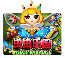 Insect Paradise